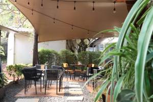 The Chocolate Room - Harmony Center