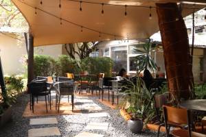 The Chocolate Room - Harmony Center