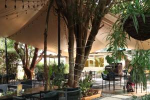 The Chocolate Room - Harmony Center