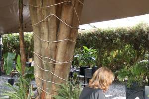 The Chocolate Room - Harmony Center